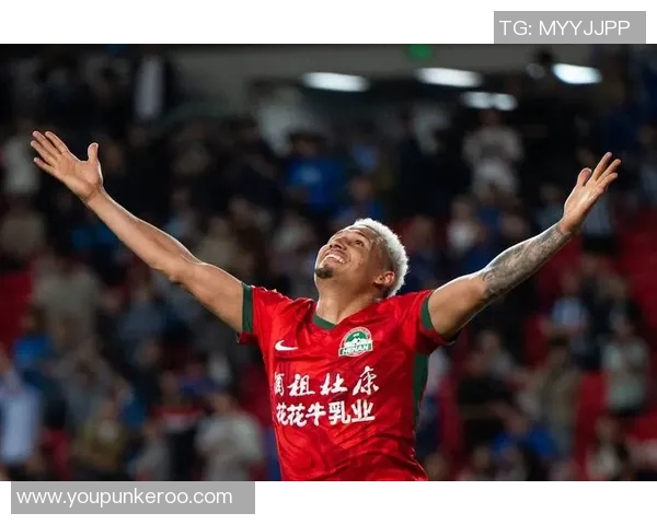 全球顶级足球联赛球星全名单汇总各大俱乐部阵容与球员数据解析